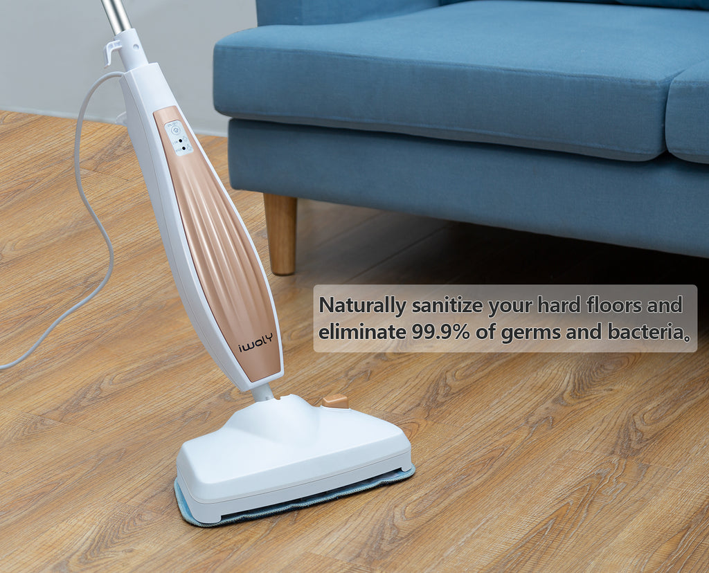 Iwoly Steam Mop